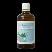 Balancepharma Arnica montana tincturen 100 Milliliter