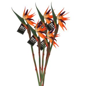 Kunstbloem Strelitzia/Paradijsvogelplant - 5x - 84 cm - losse steel - kunst zijdebloem