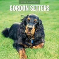 Gordon Setter Kalender 2026