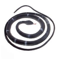 Plastic speelgoed rubber slang zwart met witte ringen 80 cm   - - thumbnail