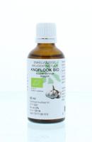 Natura Sanat Allium sativum bulb/knoflook tinctuur bio