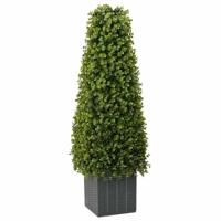VidaXL Eucalyptus gras toren groen 27 x 27 x 90 cm kunststof
