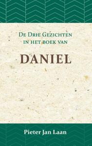 De Gezichten in het Boek van Daniel (Paperback)