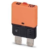 TCP 40/DC32V  (50 Stück) - MCB terminal block 40A 6mm TCP 40/DC32V