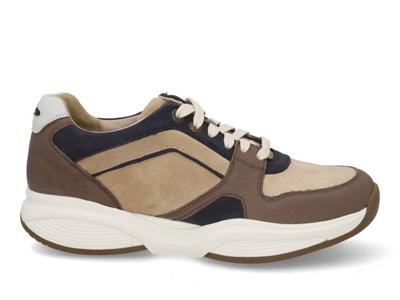 Xsensible SWX29 32502.2 515 dark taupe taupe maat 41