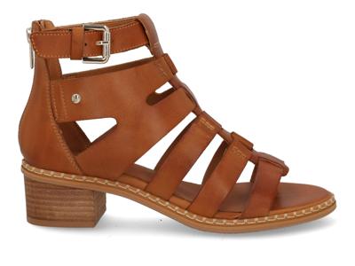 Pikolinos Blanes 1823 brandy Cognac maat 40