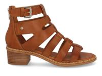 Pikolinos Blanes 1823 brandy Cognac maat 40