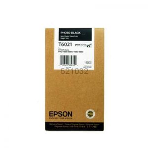 Epson inktpatroon Photo Black T602100