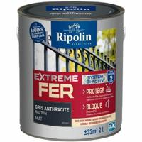 Grondverf Ripolin Grijs Mat 2 L