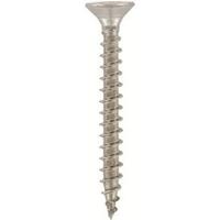 SPAANPL.SCHR.6.0X40 T-25/100ST