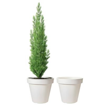 Pro Garden Bloempot - 2x - wit - rond - D50 cm - kunststof - plantenpot - tuin buiten