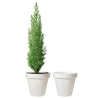 Pro Garden Bloempot - 2x - wit - rond - D50 cm - kunststof - plantenpot - tuin buiten