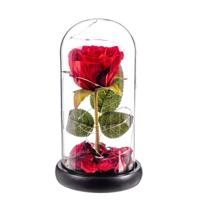 Decoratieve figuren Caison Rosa roja eterna leds cupula cristal 20 cm
