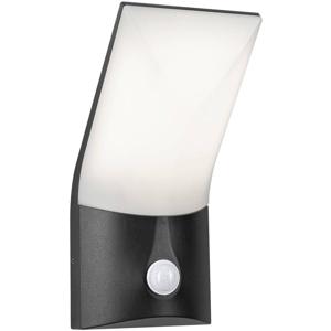 Paulmann Adya 94402 Buitenlamp (wand) LED LED vast ingebouwd 10.00 W Antraciet