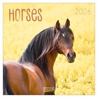 Paarden Kalender 2026