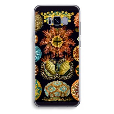 Haeckel Ascidiae: Samsung Galaxy S8 Plus Transparant Hoesje