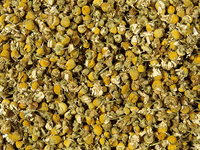 Chamomile