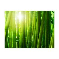 Fotobehang - Zon en Bamboe 200x154cm - Vliesbehang - thumbnail