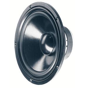 Visaton W 250 S - 8 Ohm 10 inch 25.4 cm Woofer 100 W 8 Ω