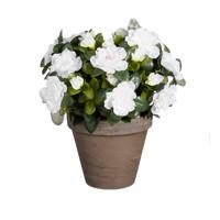 Mica Decorations Kunstplant - Azalea - Wit - in pot - 31 cm