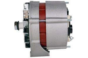 Alternator Volvo 14V 55A 8EL012427571