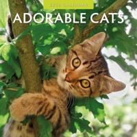 Adorable Cats Kalender 2026 Adorable Cats Kalender 2026