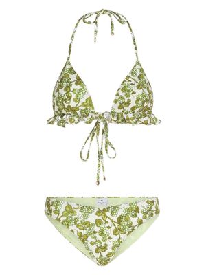 ETRO bikini triangles à imprimé Berry - Vert