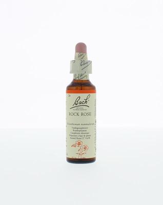Bach Rock rose/zonneroosje Bach Rock rose/zonneroosje
