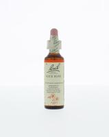 Bach Rock rose/zonneroosje