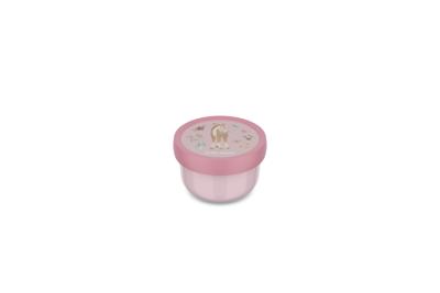 Mepal fruitbox campus 300 ml fairy garden