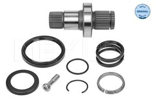 Steekas, differentiaal 1004980245
