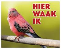 Boerkes Parkiet Waakbord - Hier Waak Ik