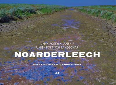 Noarderleech (Paperback)