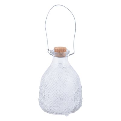 Wespenvanger/wespenval transparant glas 14 cm
