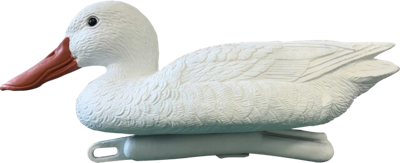 Superfish Witte eend