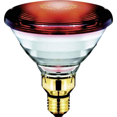 Philips LED Infraroodlamp E27 150 W (Ø x l) 121 mm x 136 mm 230 V 1 stuk(s)