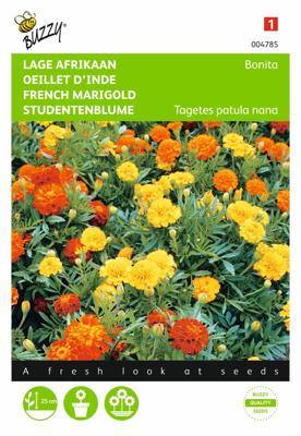 Tagetes patula nana Bonita Dubbelbl. Gemengd - Buzzy