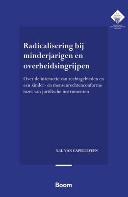 Radicalisering bij minderjarigen en overheidsingrijpen (Paperback)