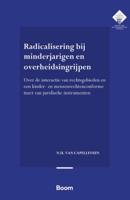 Radicalisering bij minderjarigen en overheidsingrijpen (Paperback)
