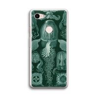 Haeckel Cubomedusae: Google Pixel 3 Transparant Hoesje