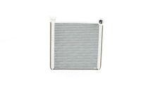 Kachelradiateur, interieurverwarming BSG90530009