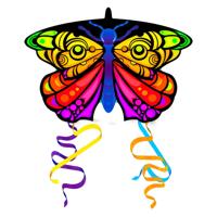 Kites Ready 2 Fly - pop-up mini nylon vlieger vlinder