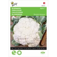 Bloemkool Alpha 7 Bloemkool Alpha 7