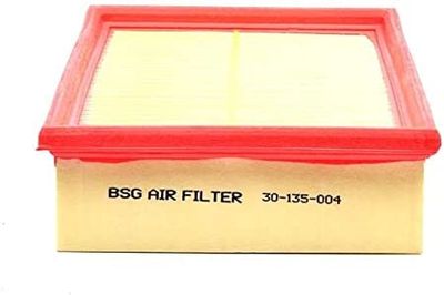 Luchtfilter BSG30135004