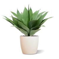 Agave kunstplant 50cm - UV bestendig