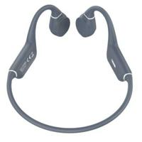 Oordopjes LEOTEC LEBONE03G Grijs
