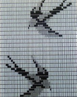 Vliegengordijn Hulzen Zwaluwen transparant - 90cm x 210cm