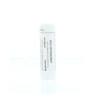 Jaborandi D30 - thumbnail