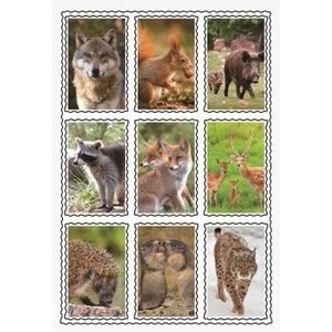 Wilde dieren 3D sticker set