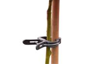 Plantenclip dia. 18mm set a 5 stuks - Nature